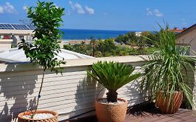 Beau Penthouse Avec Vue Mer